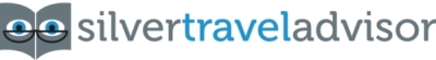 Silver travel logo