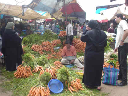 Carrot seller in the souk