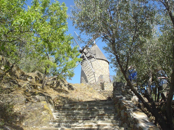 The olive windmill