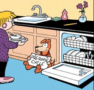 Dog dishwasher