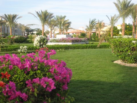 The Dana Hotel, Hurghada, where we stayed