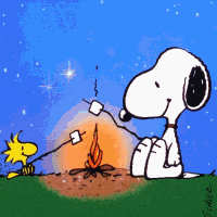 Peanuts fire