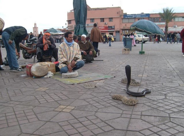 Snake Charmer in the Square