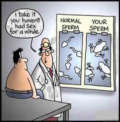 Sperm count