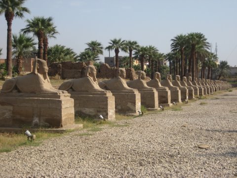 A line of sphinxes