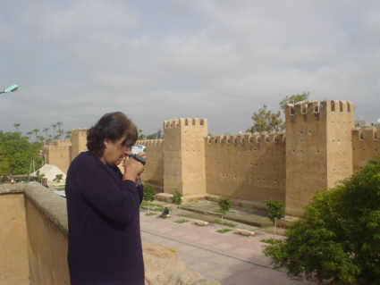 The ancient walls of Taroudant